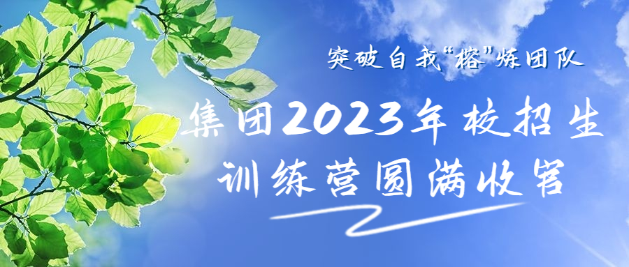 202372616281335